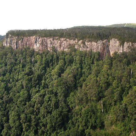 Springbrook Lyrebird Retreatヴィラ エクステリア 写真