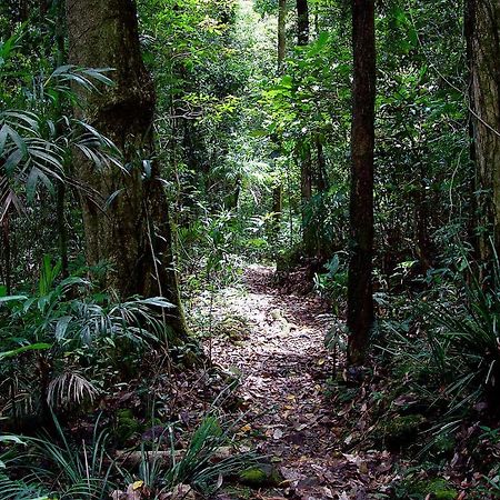 Springbrook Lyrebird Retreatヴィラ エクステリア 写真