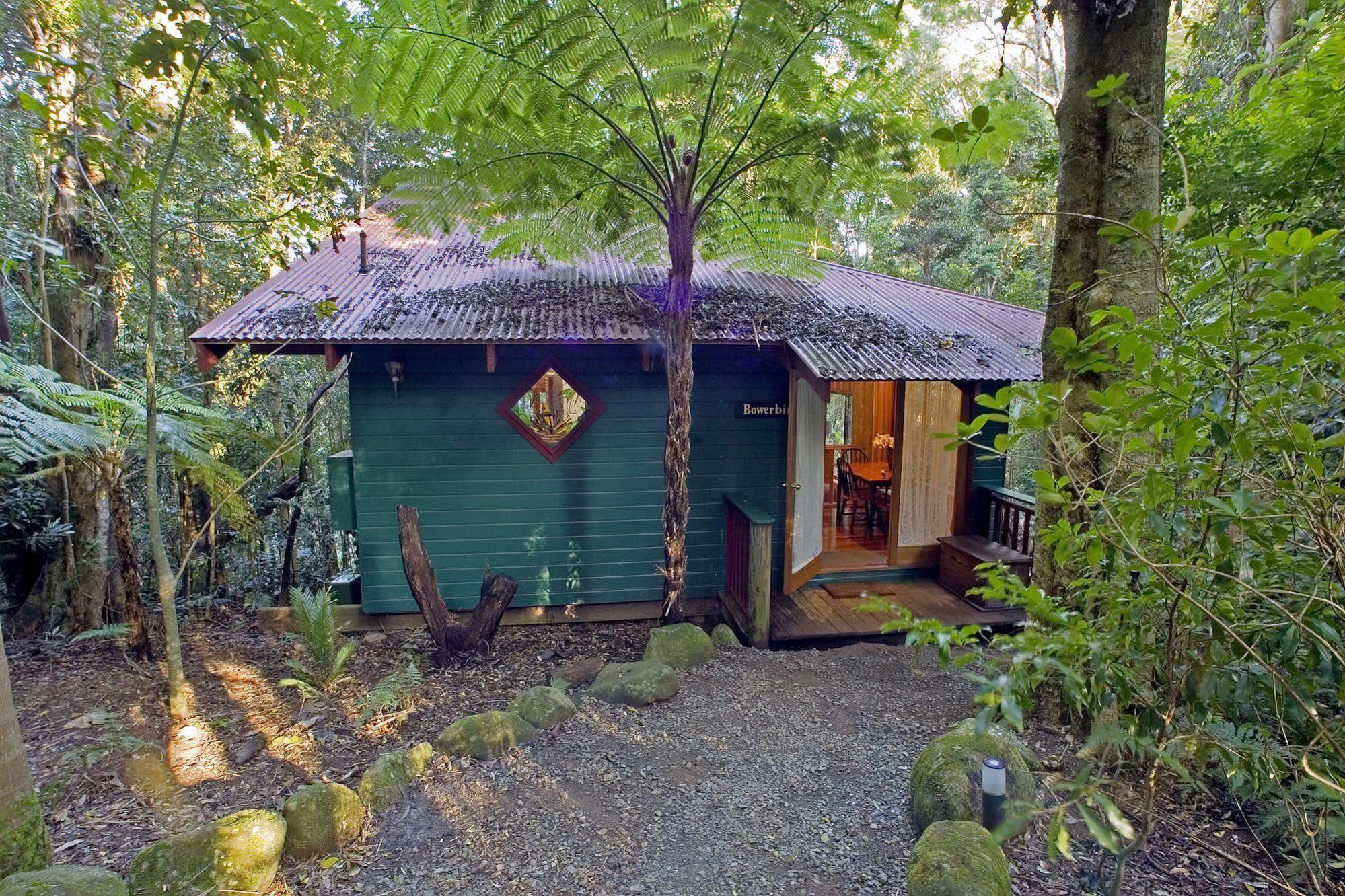 Springbrook Lyrebird Retreatヴィラ エクステリア 写真