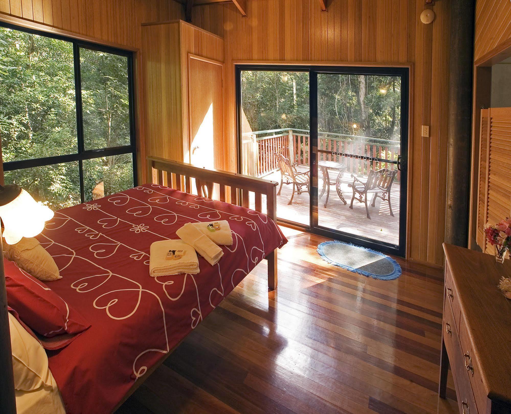 Springbrook Lyrebird Retreatヴィラ エクステリア 写真
