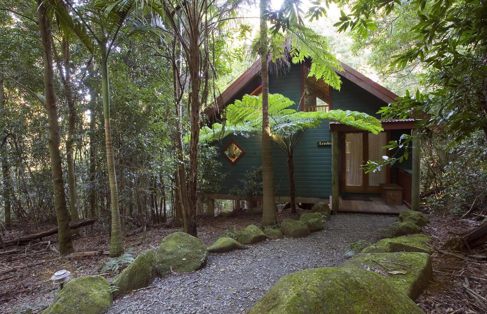 Springbrook Lyrebird Retreatヴィラ エクステリア 写真