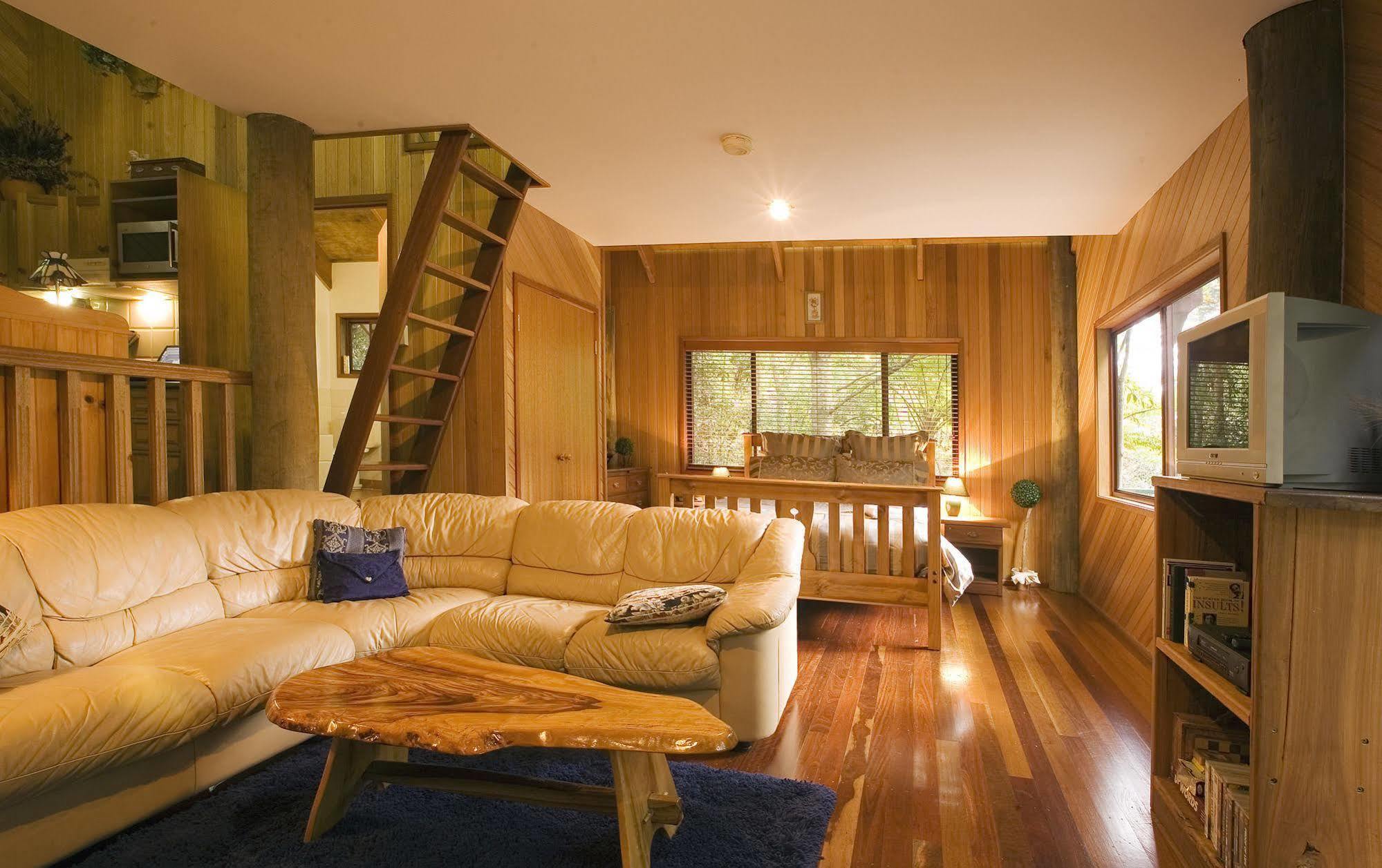 Springbrook Lyrebird Retreatヴィラ エクステリア 写真