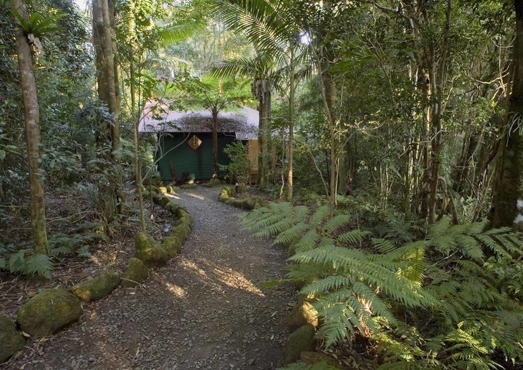 Springbrook Lyrebird Retreatヴィラ エクステリア 写真