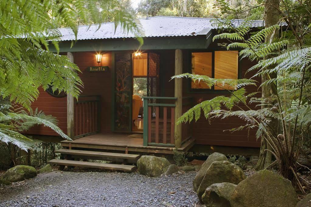 Springbrook Lyrebird Retreatヴィラ エクステリア 写真