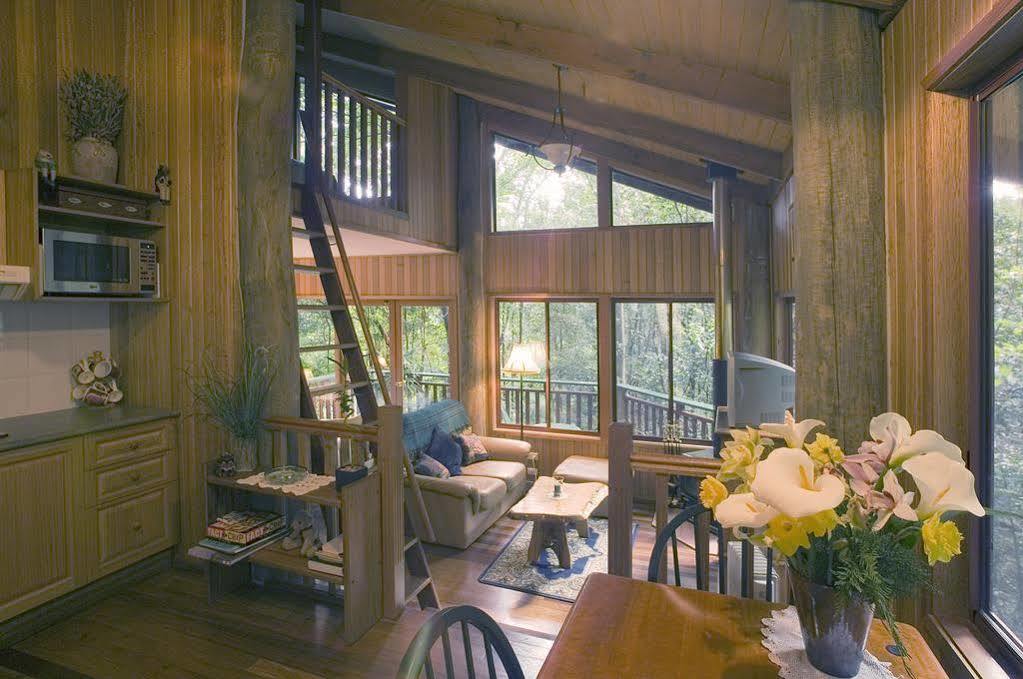 Springbrook Lyrebird Retreatヴィラ エクステリア 写真